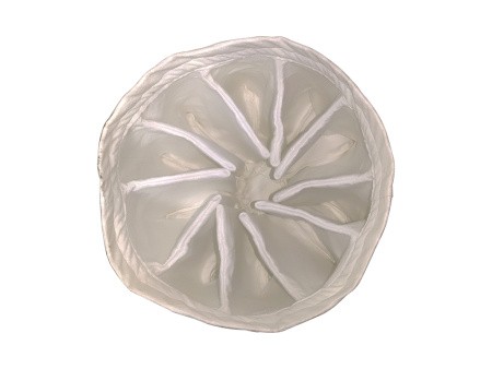 Фильтр класса М D 460 (375, 75, 155 ) Фильтр класса М D 460 (375, 75, 155 )